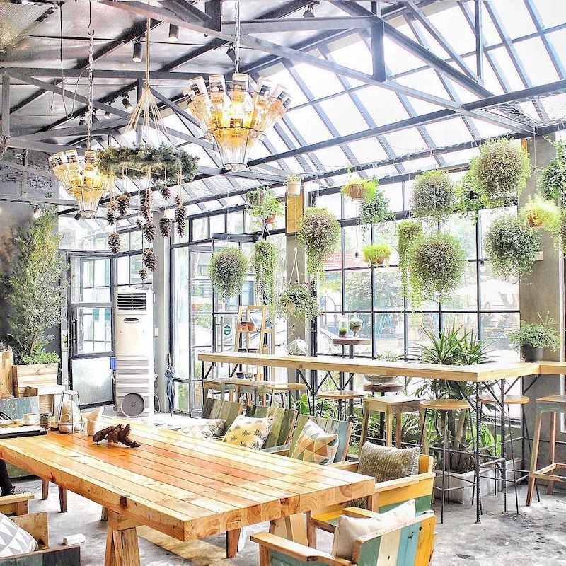Thiết kế quán cafe sân vườn phong cách Tropical Forest