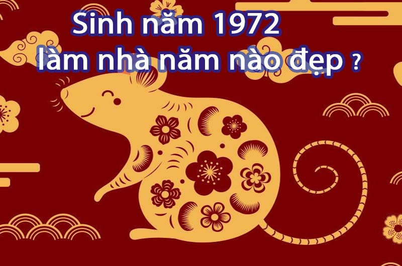 Sinh Nam 1972 Lam Nha Nam Nao Dep